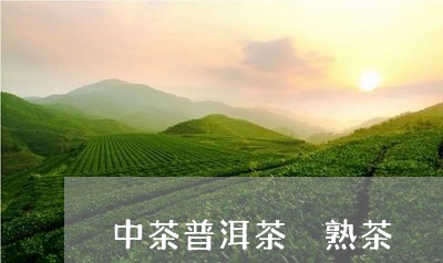 中茶普洱茶 熟茶/2023041027381